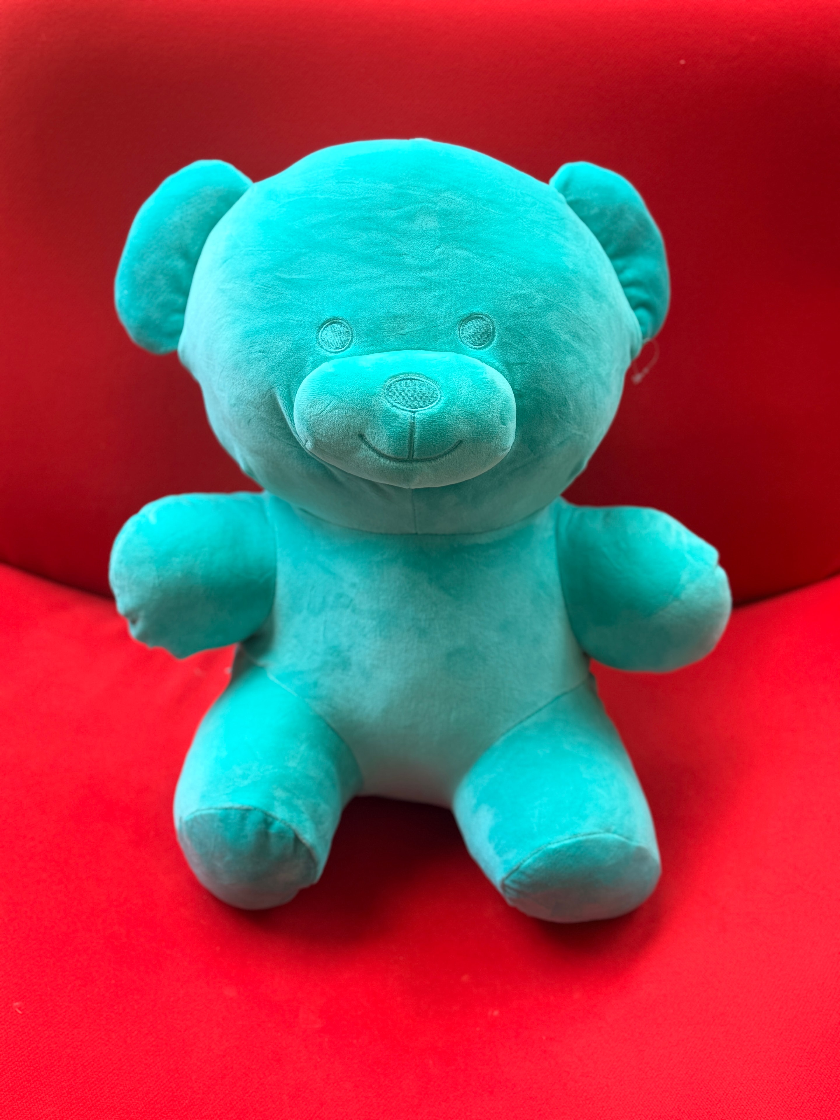 Teal teddy bear plush prize